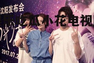 娱乐吃瓜小花电视剧