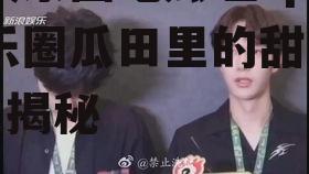 全娱乐圈吃瓜嗑cp,娱乐圈瓜田里的甜蜜CP大揭秘