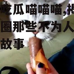 娱乐吃瓜喵喵喵,揭秘娱乐圈那些不为人知的幕后故事