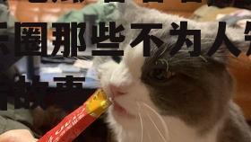 娱乐吃瓜喵喵喵,揭秘娱乐圈那些不为人知的幕后故事