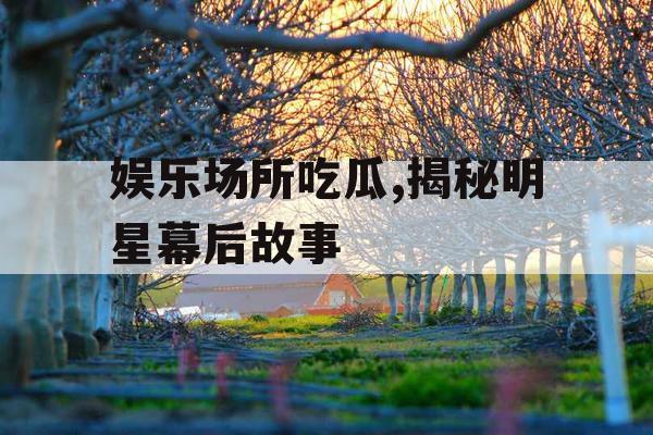 娱乐场所吃瓜,揭秘明星幕后故事